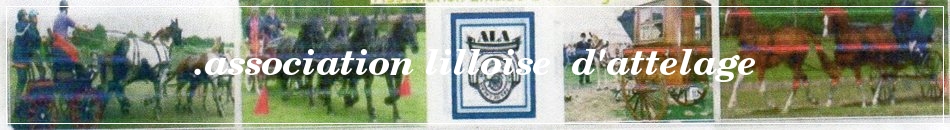 .association lilloise  d'attelage